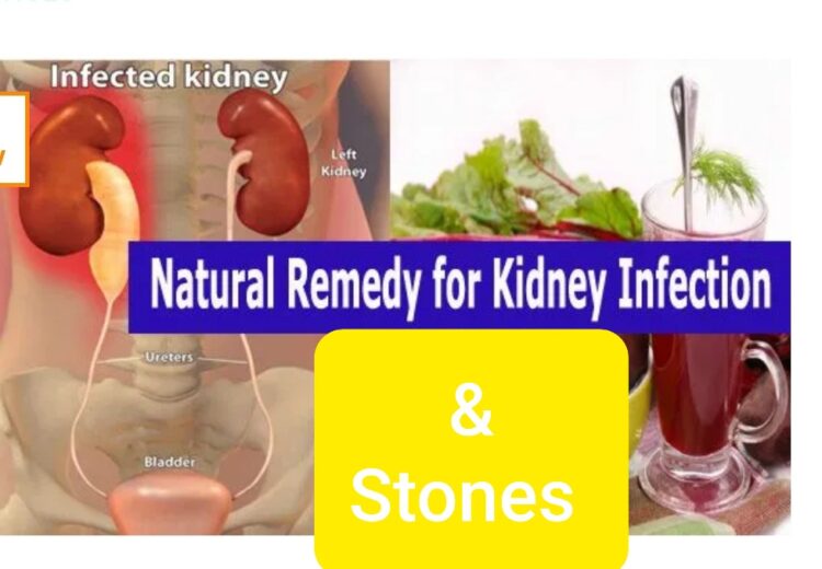 MOST EFFECTIVE WAY TO TREAT KIDNEY DISEASE NATURAL FROM WORLD BEST