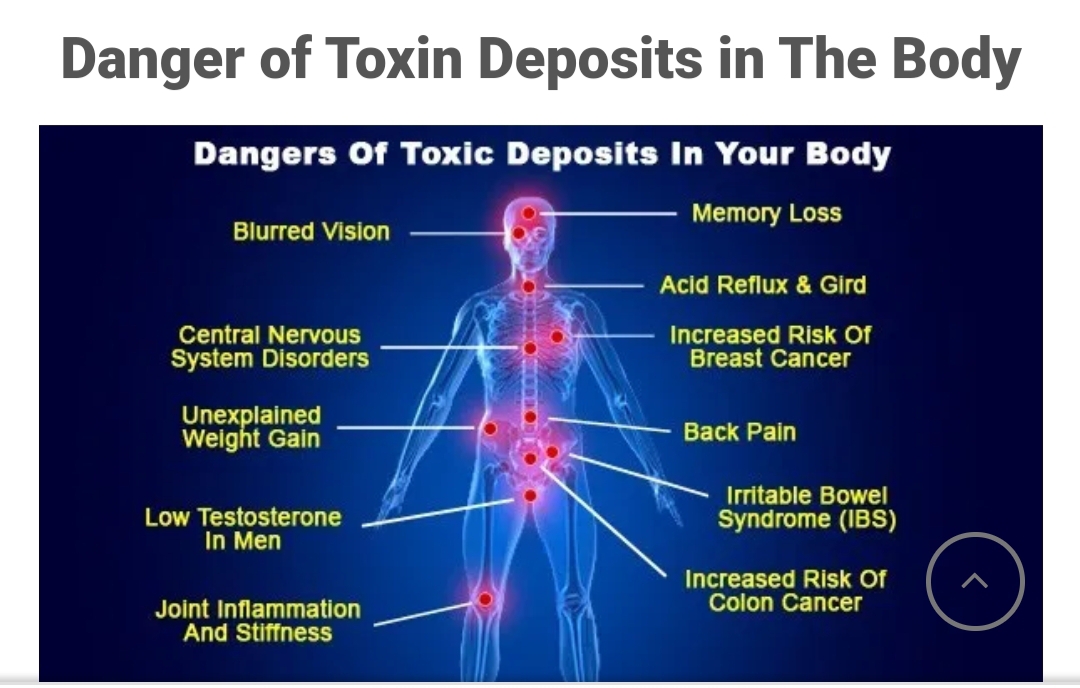DANGERS OF TOXINS IN OUR BODIES GlobalAplushealth